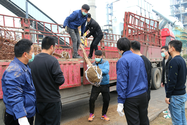 1584424527872072.jpg 2.JPG