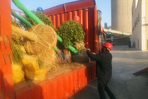 1585383982274726.jpg 2.jpg