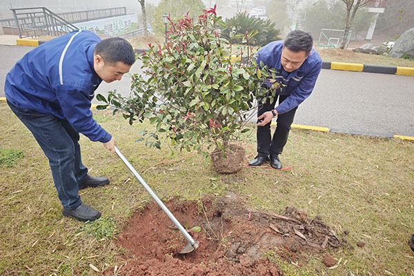 1744250162636984.jpg 種植樹(shù)苗600X400.jpg